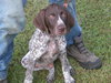 ppp-Arvon-ADOPTED