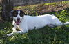 Mannheim - ADOPTED 02.05.16