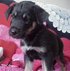 Aa Litter-JayJ-ADOPTED-9.12.10