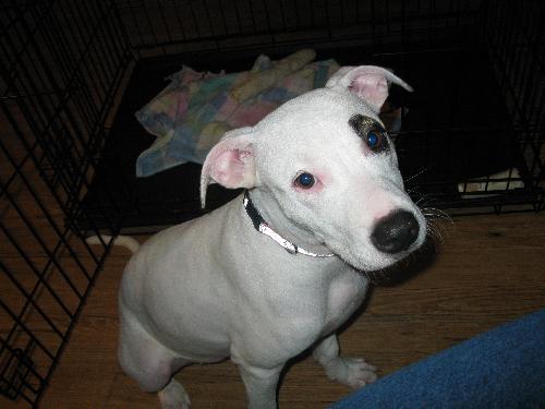 PPP-McKenzie-ADOPTED