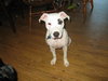 PPP-McKenzie-ADOPTED