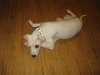 PPP-McKenzie-ADOPTED