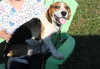 Skimpy - ADOPTED 10.23.10