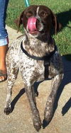 Dusky - ADOPTED 09.28.10