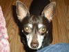 Rosita-ADOPTED - 7.19.11