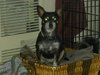 Rosita-ADOPTED - 7.19.11