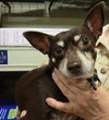 Rosita-ADOPTED - 7.19.11