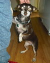Rosita-ADOPTED - 7.19.11