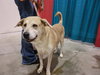 Princess-ADOPTED 01.15.11