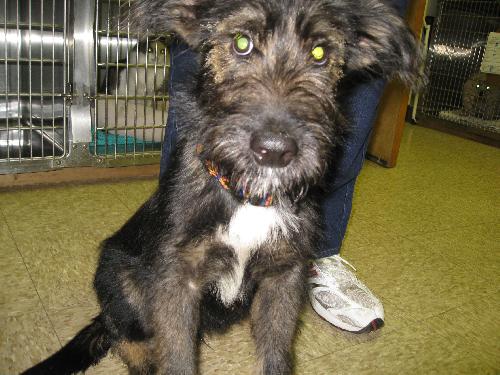 PPP-Finnegan - ADOPTED 11.01.10