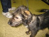 PPP-Finnegan - ADOPTED 11.01.10