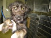 PPP-Finnegan - ADOPTED 11.01.10