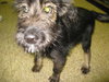 PPP-Finnegan - ADOPTED 11.01.10