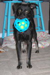 Angel girl-ADOPTED-5.8.11
