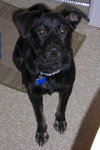 Angel girl-ADOPTED-5.8.11