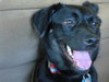 Angel girl-ADOPTED-5.8.11