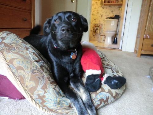 Angel girl-ADOPTED-5.8.11