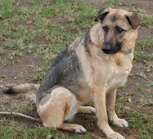 Hope - ADOPTED 01.28.2011
