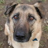 Hope - ADOPTED 01.28.2011