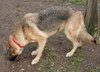 Hope - ADOPTED 01.28.2011