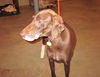 Filly-PENDING