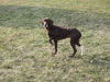 Filly-PENDING