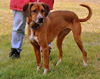 Marcy - ADOPTED 02.05.11