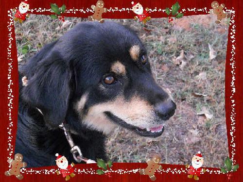 Keona-ADOPTED
