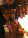 Tubby-ADOPTED