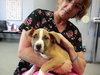 Bobby-ADOPTED-12.19.10