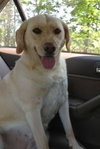 Seneca-ADOPTED 01.08.11