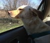 Seneca-ADOPTED 01.08.11