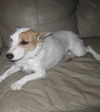 Zoie-ADOPTED-3.27.11