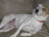Zoie-ADOPTED-3.27.11