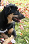 Ruby 