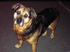 Tosha-ADOPTED-7.2.11