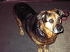 Tosha-ADOPTED-7.2.11