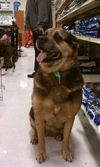 Tosha-ADOPTED-7.2.11