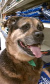 Tosha-ADOPTED-7.2.11