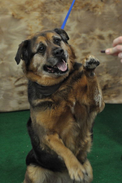 Tosha-ADOPTED-7.2.11