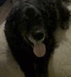 Mary-ADOPTED