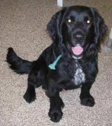 Newton - ADOPTED 02.19.11
