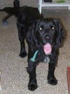 Newton - ADOPTED 02.19.11