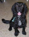 Newton - ADOPTED 02.19.11