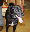 River - ADOPTED 02.19.11