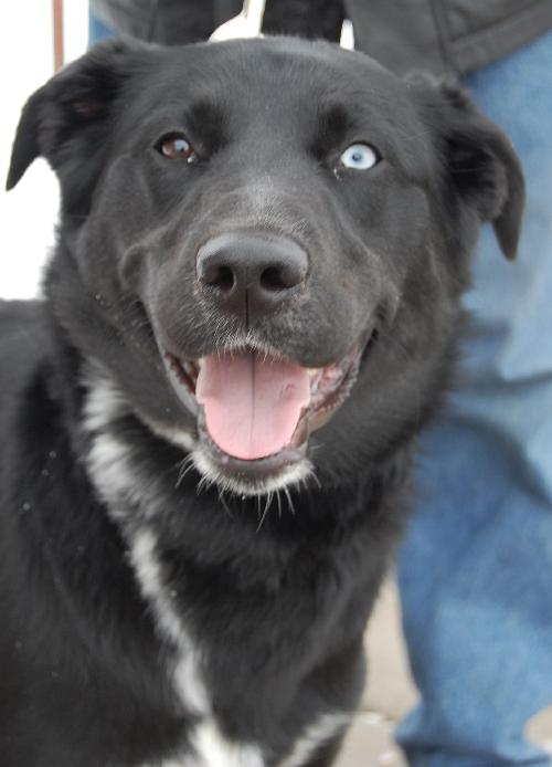 River - ADOPTED 02.19.11