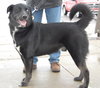 River - ADOPTED 02.19.11