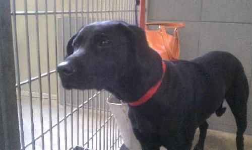 Felda - ADOPTED 01.29.11