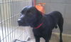 Felda - ADOPTED 01.29.11