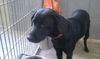 Felda - ADOPTED 01.29.11